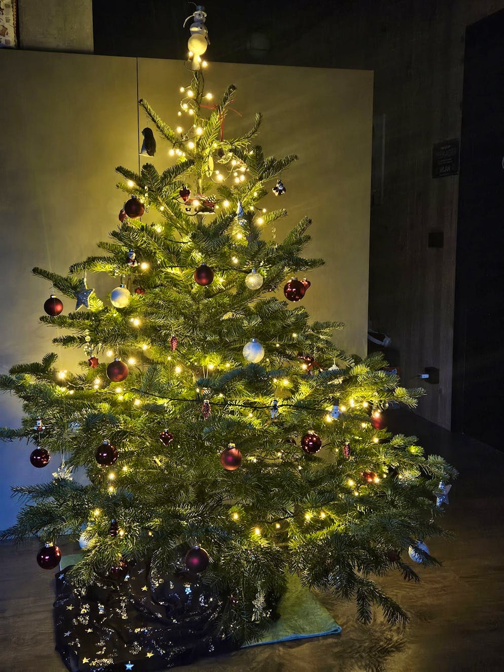 Weihnachtsbäume blue News Leser. Familie Ulayayi aus Müstair GR feiert Weihnachten mit diesem Baum. 