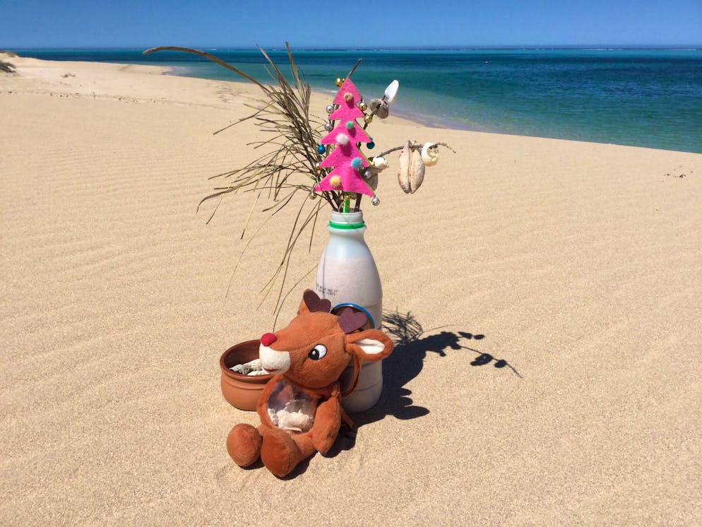 Weihnachtsbäume blue News Leser. Auch in Australien wird gefeiert. Diese Familie schmückt einen kleinen Baum am Strand in der Nähe von Exmouth.