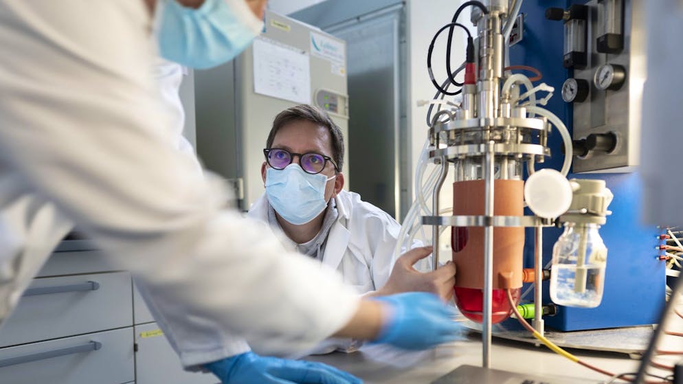 In einem Bioreaktor im Labor des Startups Mirai Foods in Wädenswil ZH wachsen Stammzellen für kultiviertes Fleisch. (Archivbild)