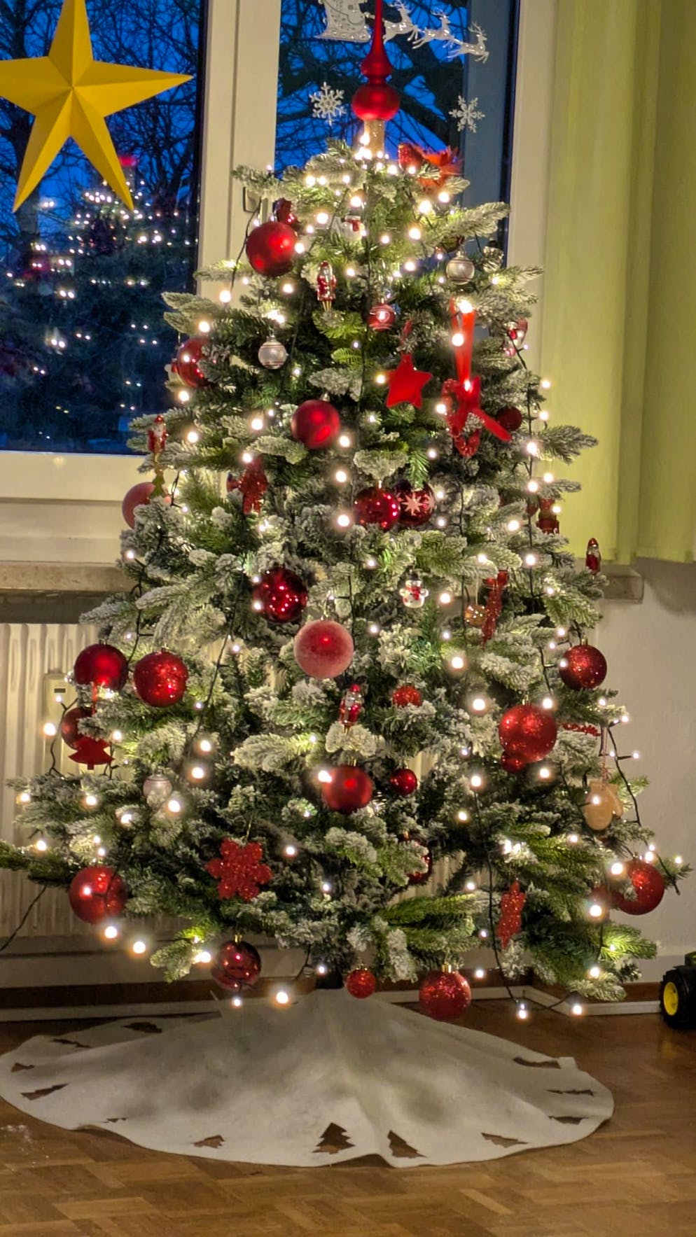 Weihnachtsbäume blue News Leser. Christbaum in Untersiggenthal AG.