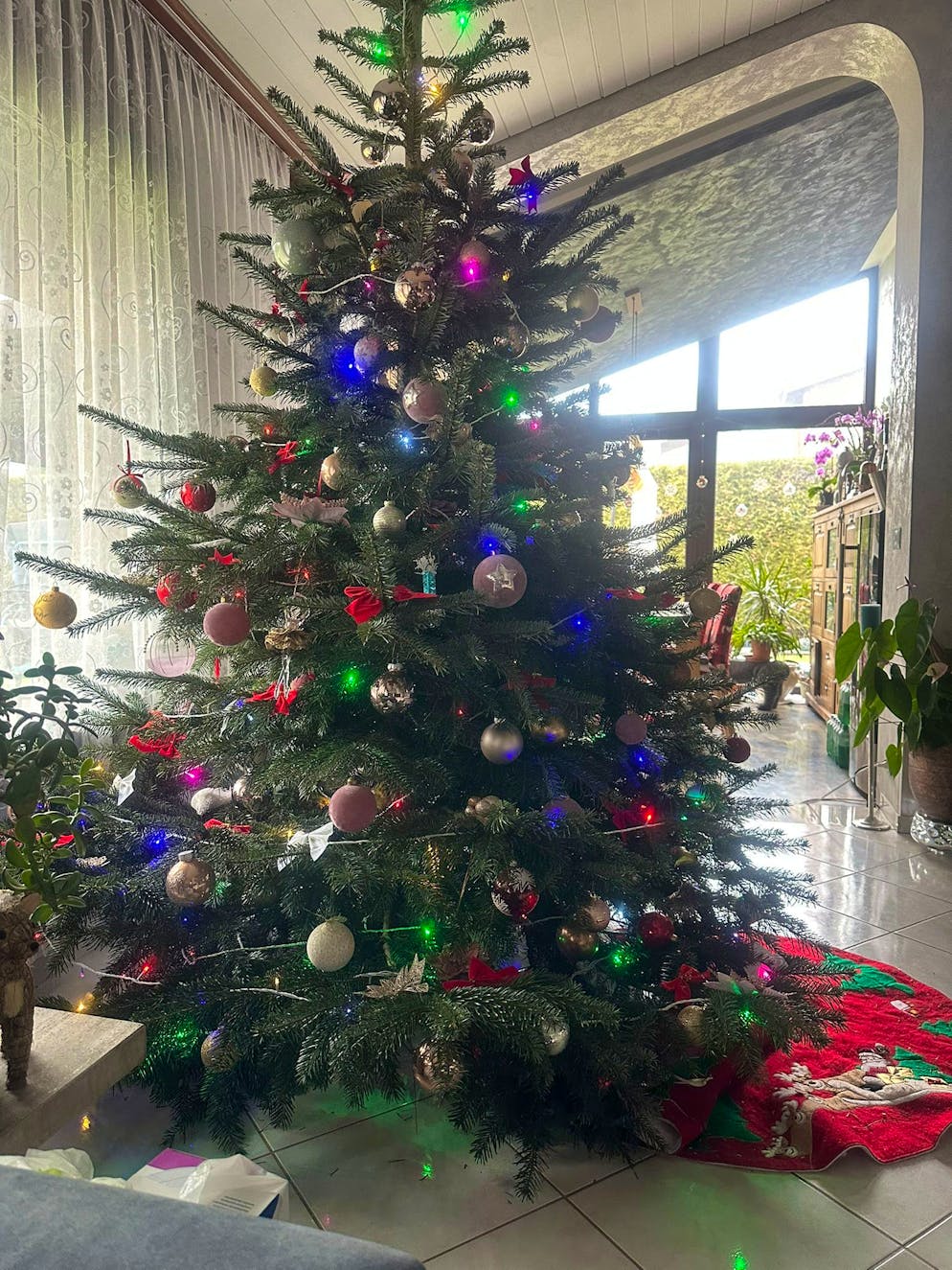 Weihnachtsbäume blue News Leser. Auch in Orpund BE kann Heiligabend kommen.