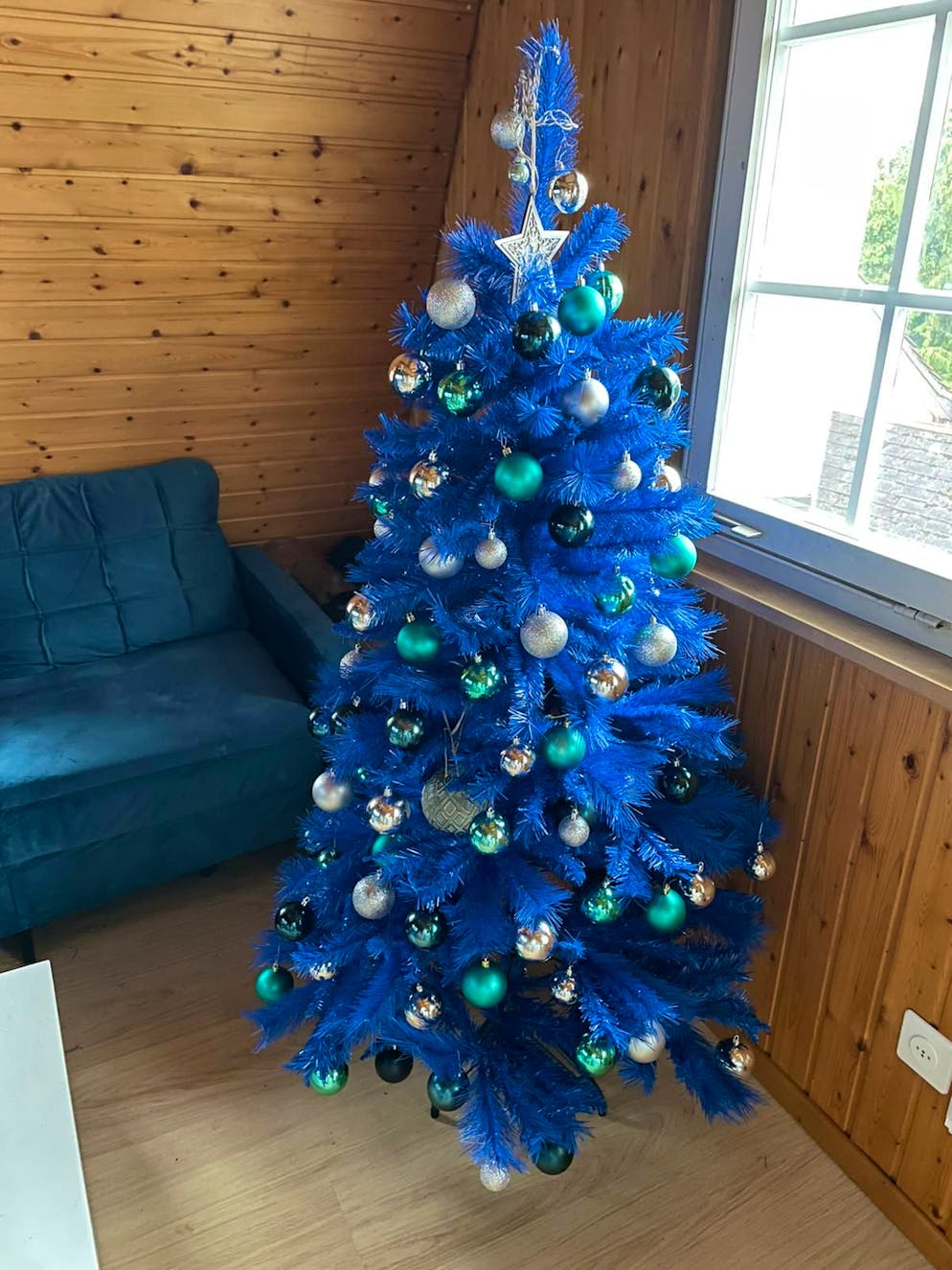 Weihnachtsbäume blue News Leser. Ob am Ende des Weihnachtsfests dieser Baum in Altstätten SG oder dessen Besitzer blauer sind, bleibt abzuwarten.