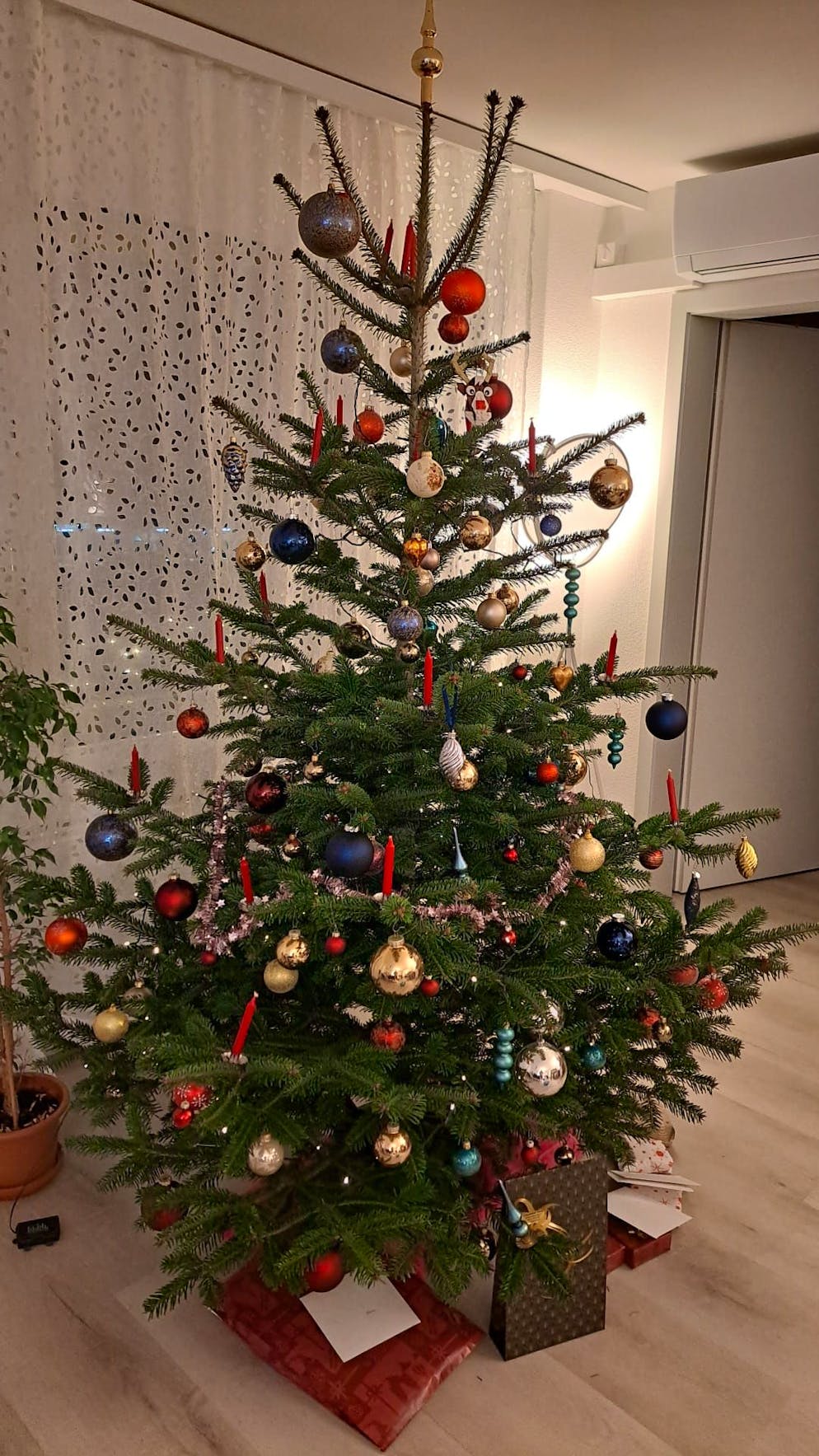 Weihnachtsbäume blue News Leser. In Jona SG liegen die Geschenke bereits unter dem Baum bereit.