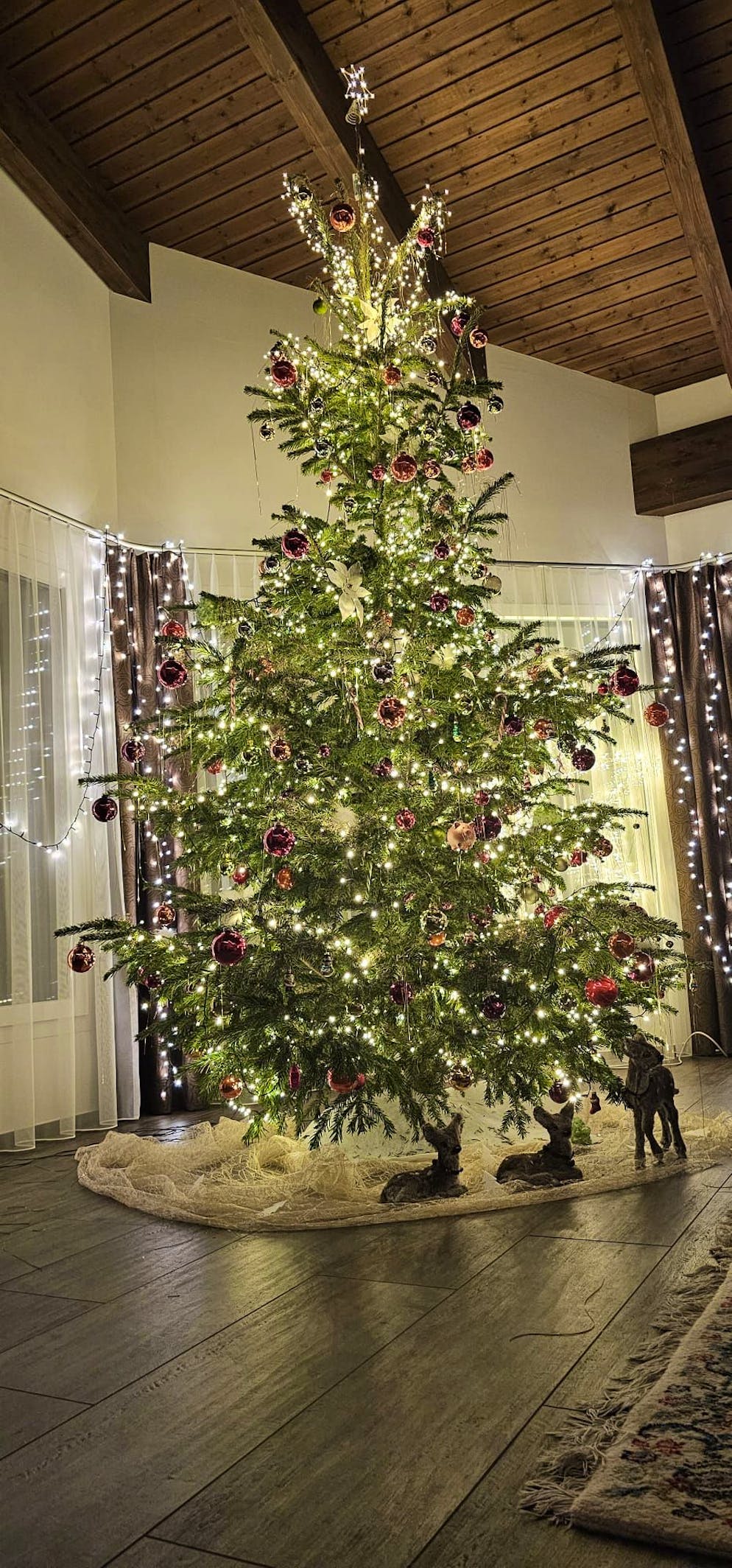 Weihnachtsbäume blue News Leser. In den meisten Stuben dürfte die Höhe dieses Baumes zu einem Problem werden, hier in Sörenberg LU hingegen nicht.