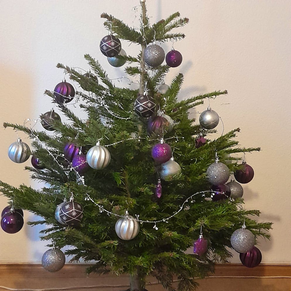 Weihnachtsbäume blue News Leser. Dieser Baum hat seinen Platz in Basel.