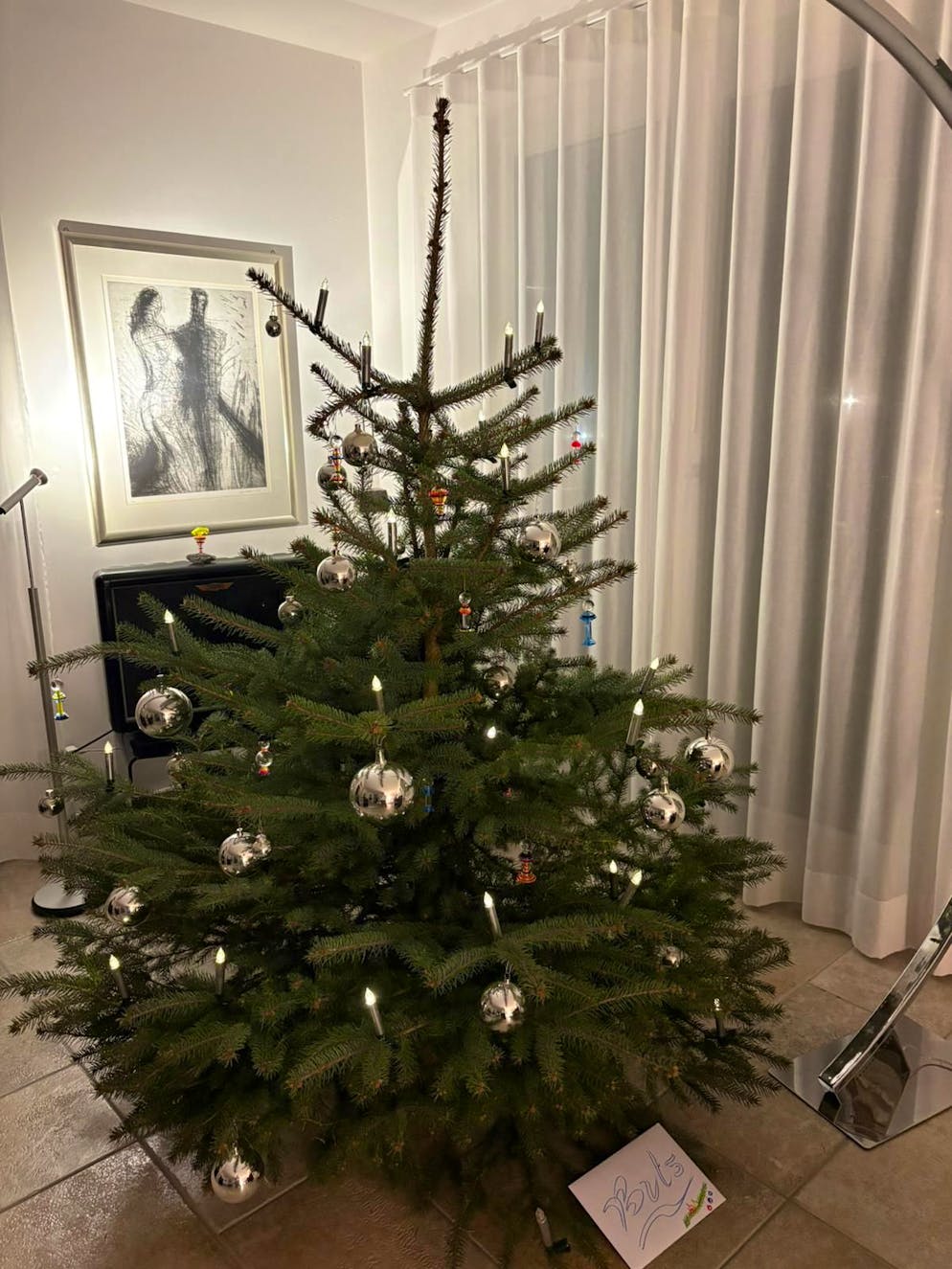 Weihnachtsbäume blue News Leser. Auch dieser Christbaum in Brione sopra Minusio TI scheint bereit für das Fest.