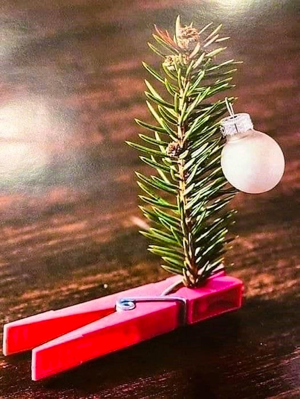 Weihnachtsbäume blue News Leser. Dass es auch einfach geht, beweist dieses Bild aus dem Tessin.