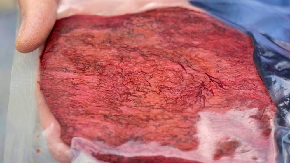 La carne coltivata in laboratorio rimane ancora un prodotto di nicchia.