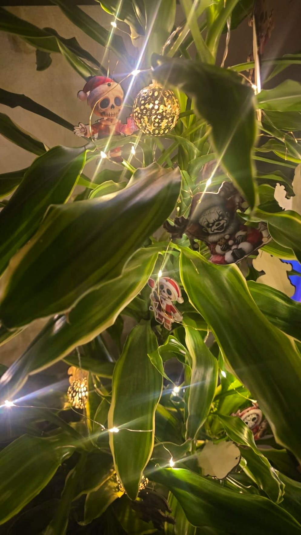 Weihnachtsbäume blue News Leser. Dass es auch ausgefallener geht, beweist dieser «Punk-Baum» in Glarus-Nord.