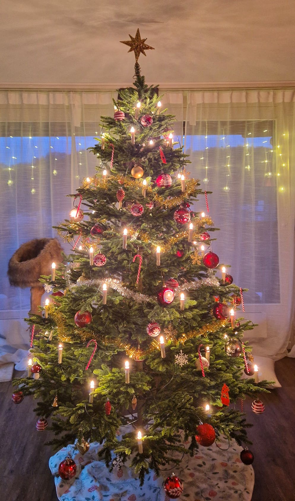 Weihnachtsbäume blue News Leser. Auch dieser Weihnachtsbaum in Bern trägt einiges an Gewicht.