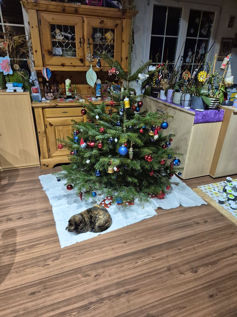 Weihnachtsbäume blue News Leser. Weihnachtsbaum in Hofstetten ZH.
