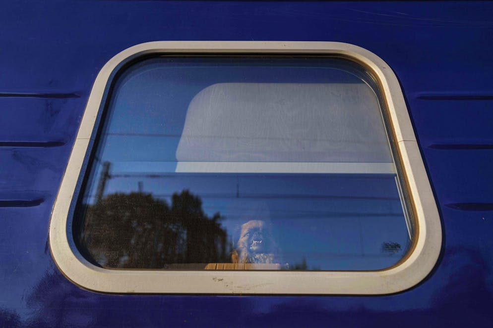 Le chien s'est retrouvé seul dans le train pour un trajet d'une dizaine de kilomètres (photo d’illustration).