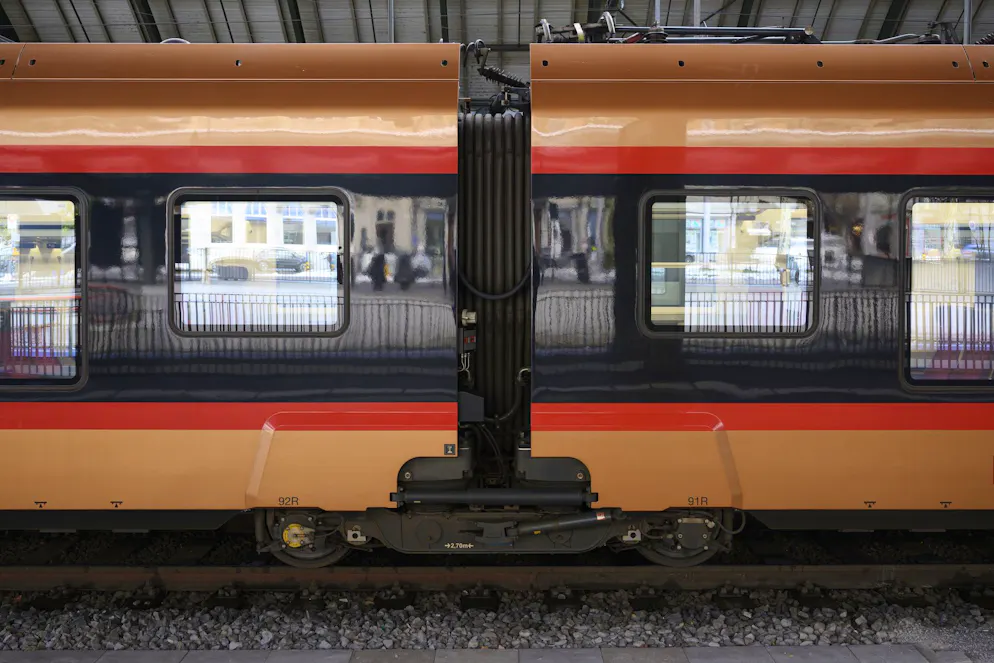 Der Hund fuhr alleine von Flums nach Walenstadt.