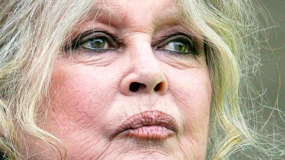 Witwer enthüllt Todesursache. Daran starb Filmikone Brigitte Bardot