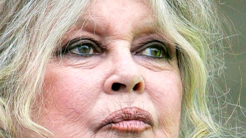 Brigitte Bardot nel 2007