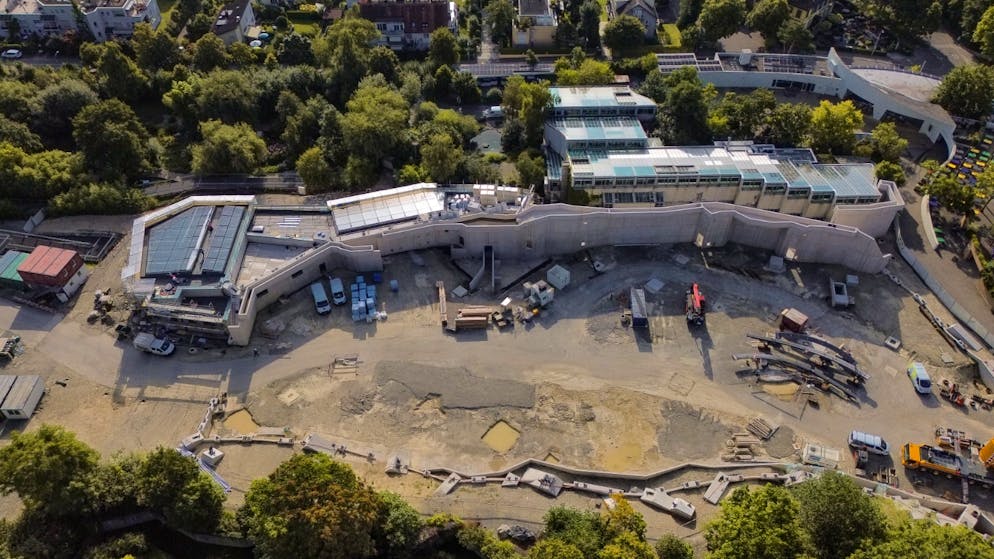 Over 70 jobs at risk. Steel construction company is in debt-restructuring moratorium due to dispute with Zurich Zoo over aviary