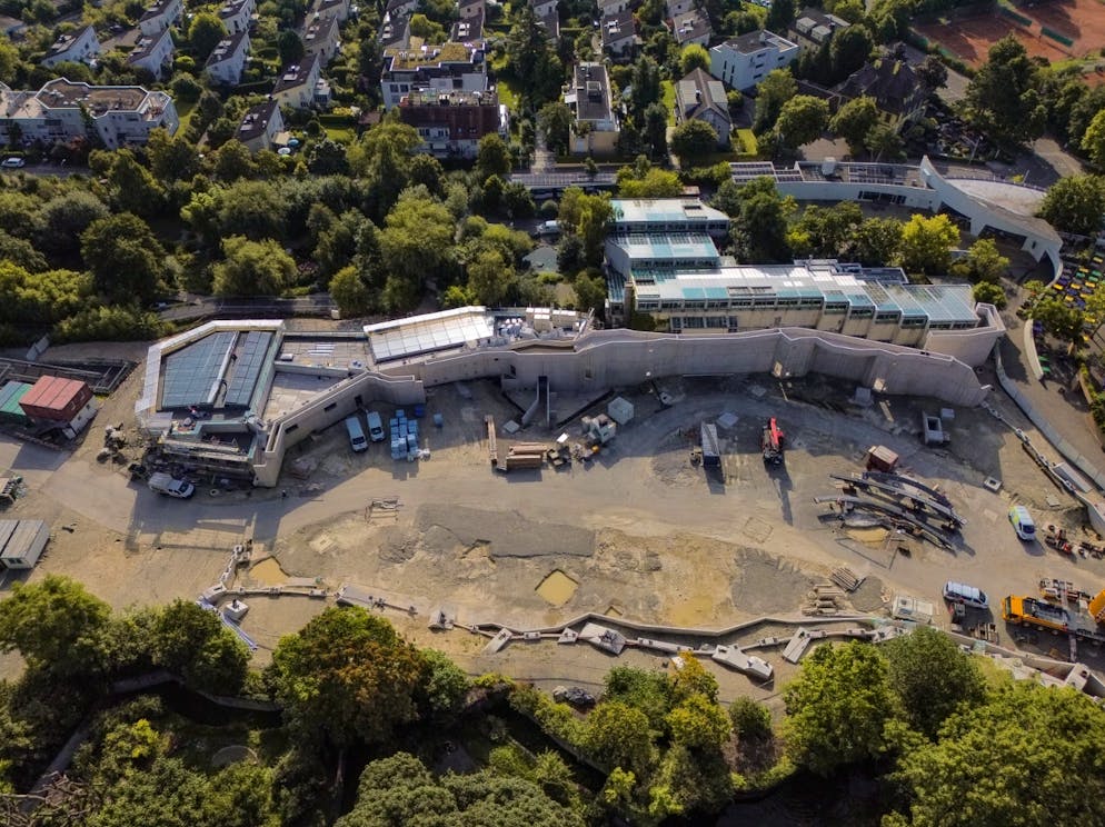 bluewin.ch - Steel construction company is in debt-restructuring moratorium due to dispute with Zurich Zoo over aviary