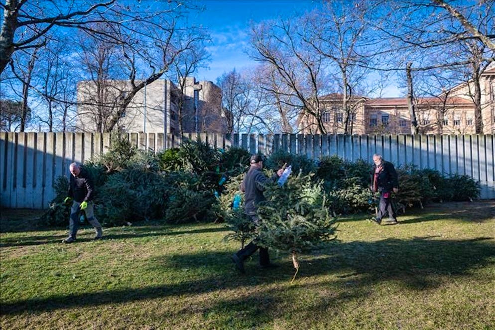 Per il bene dei pesci.