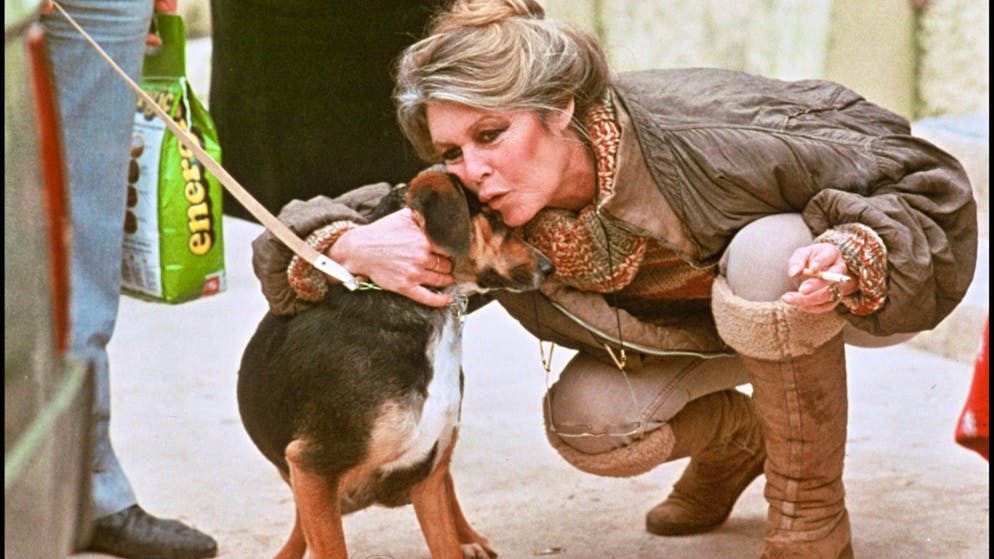 Non era fatta per «essere madre». Brigitte Bardot e la promessa all'unico figlio, mai voluto, «oggetto della mia sventura»