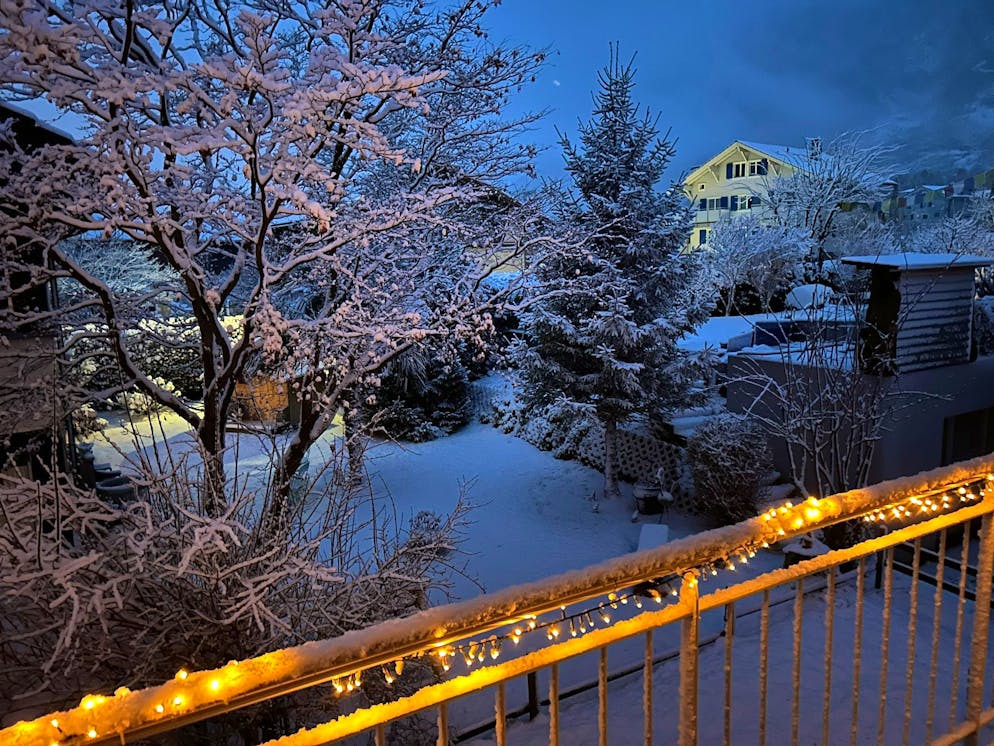 Schneefotos 2026. Ein weisses Erwachen am Samstag in Seedorf UR.
