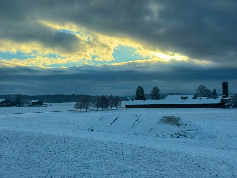 Schneefotos 2026. ... aus dem Zug zwischen Bern und Olten, ...