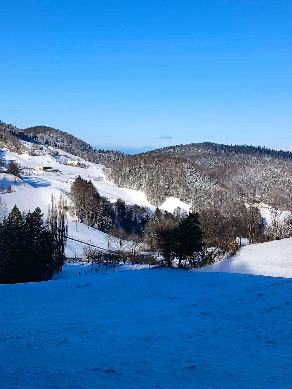 Schneefotos 2026. Winterlandschaft in Eptingen BL.
