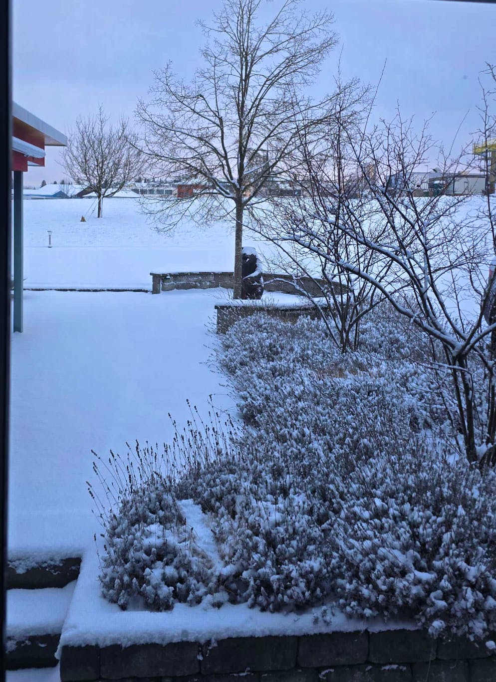 Schneefotos 2026. Der Winter hat auch in Rickenbach LU Einzug gehalten.