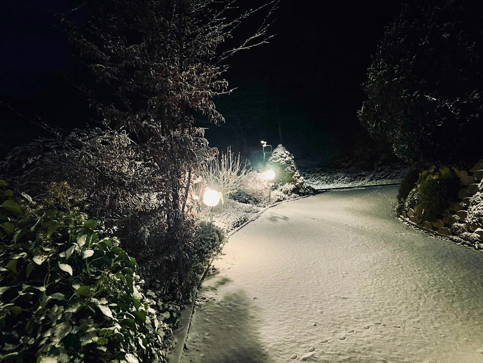 Schneefotos 2026. Kurz nach Aufnahme dieses Fotos dürften auf diesem Weg in Neftenbach ZH die ersten Spuren im Schnee hinzugefügt worden sein. 