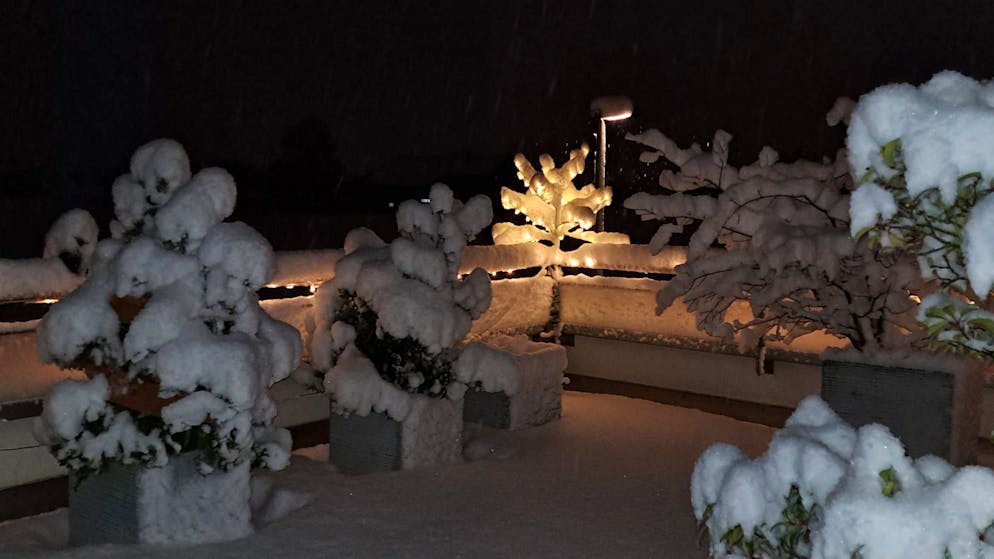 Send us your photo. How blue News readers are enjoying the snow - it's here to stay