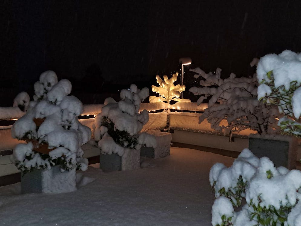 Schneefotos 2026. Unberührte Neuschnee-Schicht in Wangen SZ.