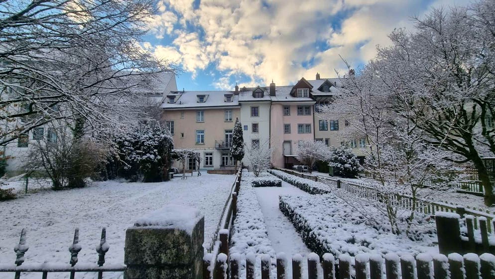 Schneefotos 2026. Geschneit hat's auch in Zofingen AG.