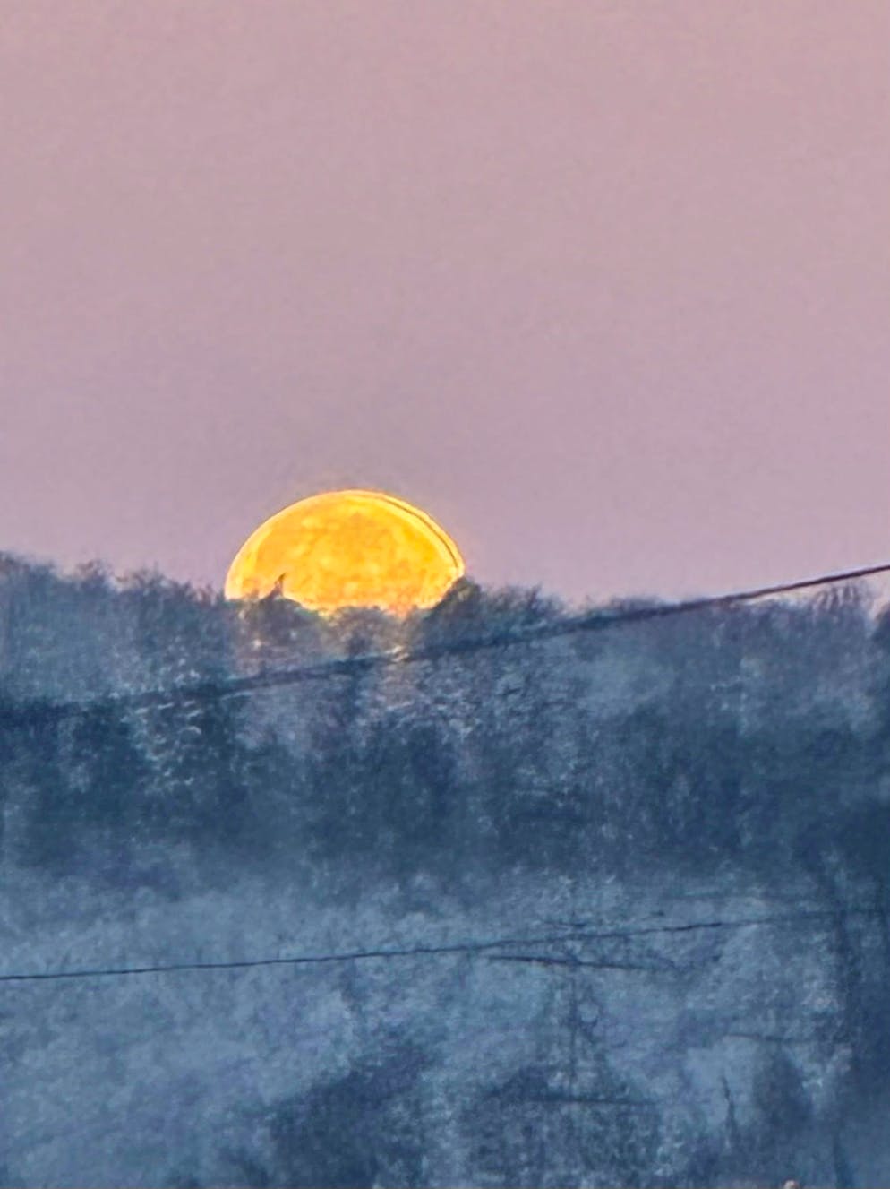 Schneefotos 2026. ... und aus Ittingen BL erreicht.