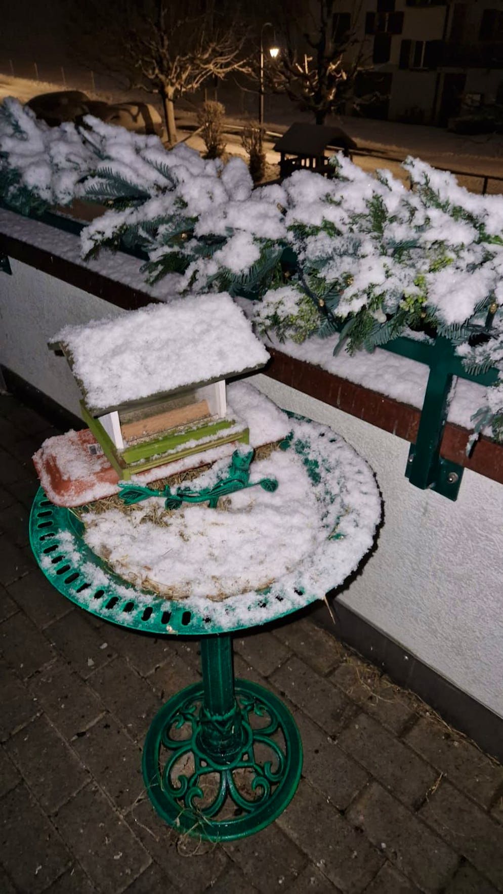 Schneefotos 2026. «Ich freue mich wie eine Schneekönigin über den Schnee», schreibt eine Leserin zu diesem Bild aus Mauensee LU.