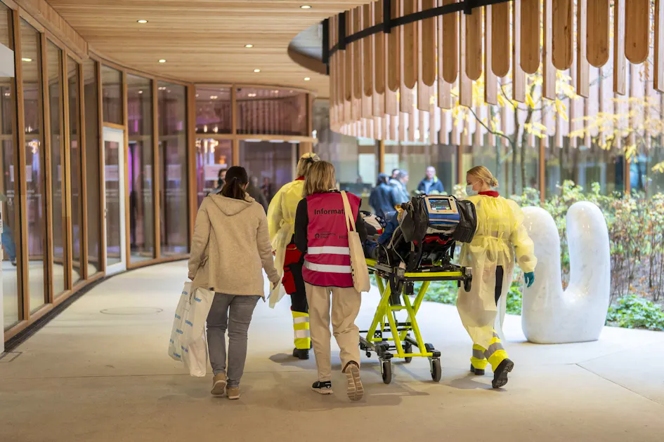 Costs up to 1.6 million Swiss francs - | the expensive fight for survival ...