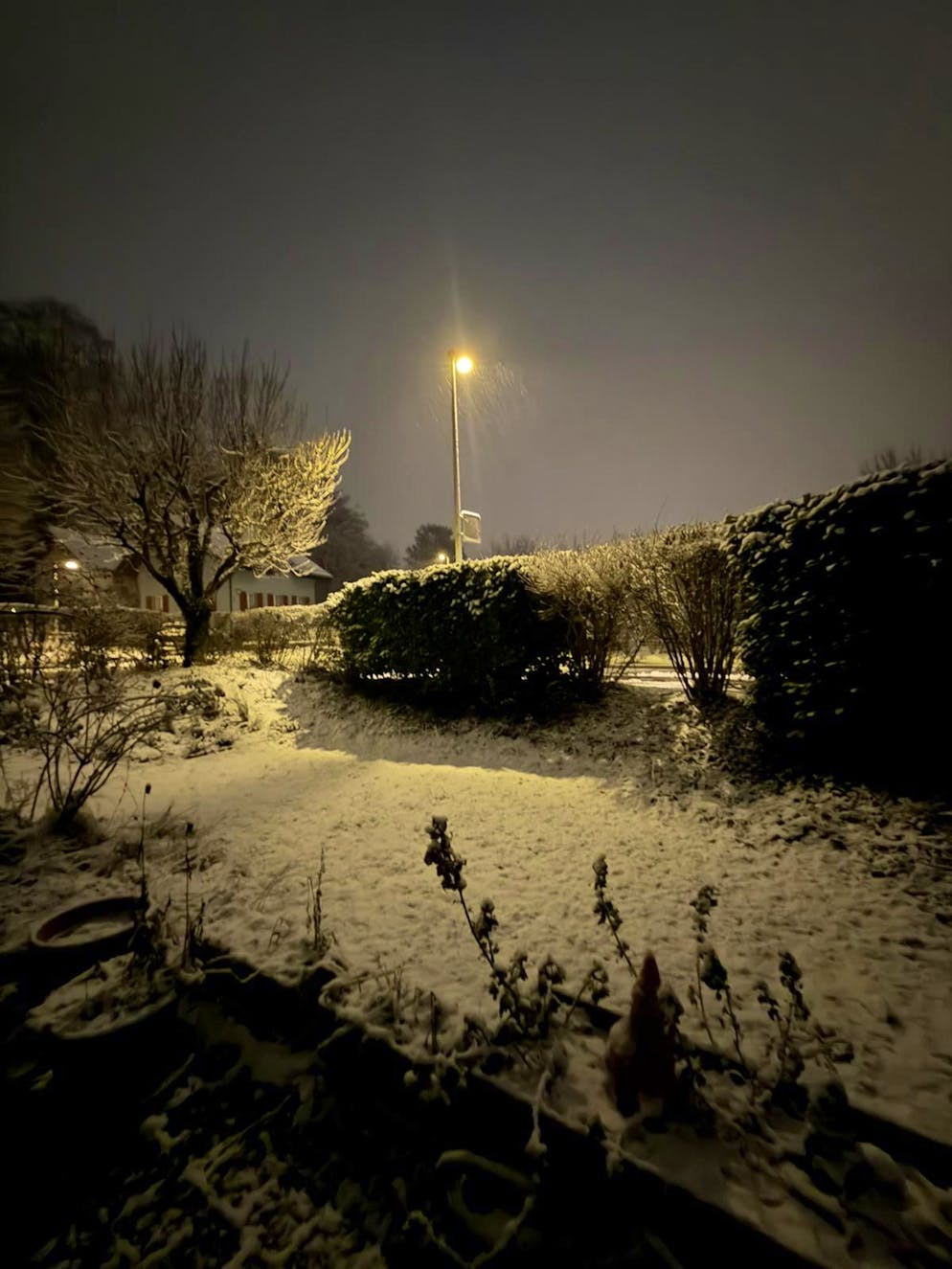 Schneefotos 2026. Schnee ist aber auch in Wangen-Brüttisellen ZH, ...