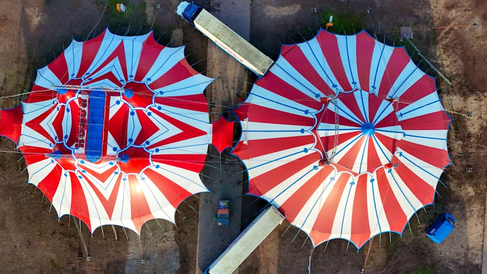 Trends 2026. Pinterest erkennt das Zirkus-Flair als einen Einrichtungs-Trend in 2026.