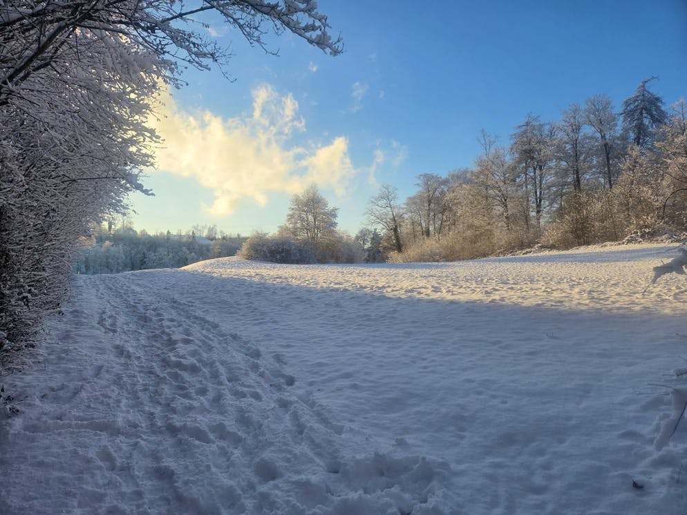 Schneefotos 2026. blue News Leser Danilo geniesst bei Bubikon ZH einen Winterspaziergang. 
