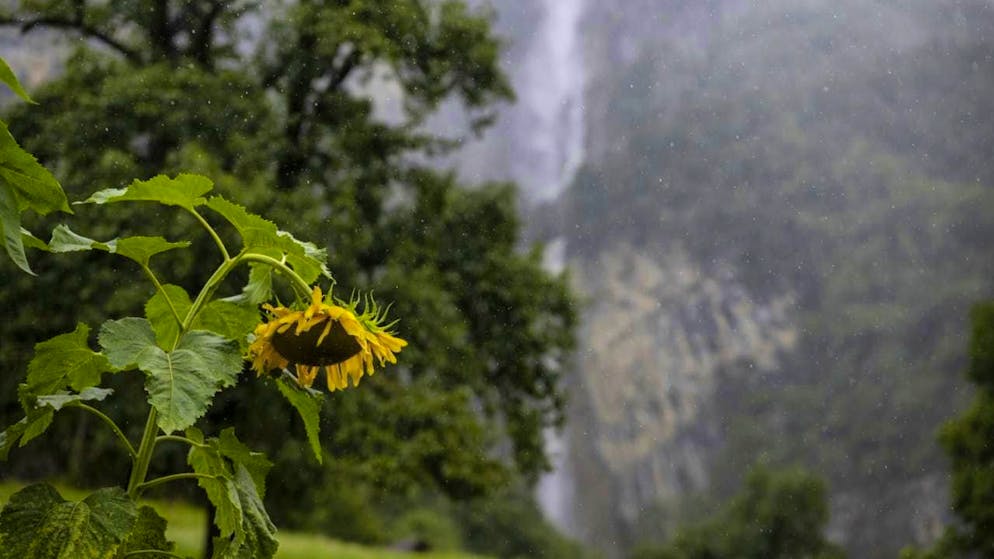 When it rains, the perpetuating chemical TFA is released from the air into bodies of water. How harmful the chemical is to humans and the environment has not yet been fully clarified. (symbolic image)