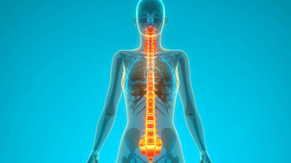 Medicina. Al via una terapia sperimentale per rigenerare il midollo spinale