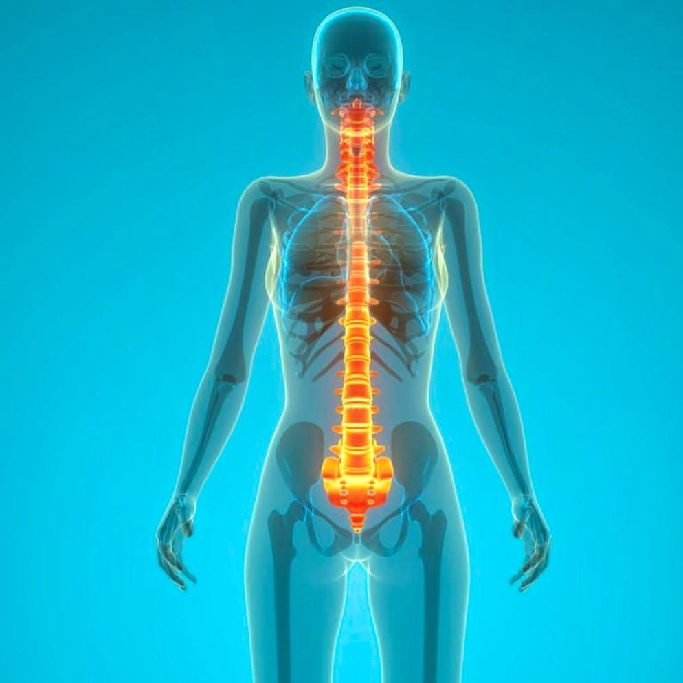 Medicina. Al via una terapia sperimentale per rigenerare il midollo spinale