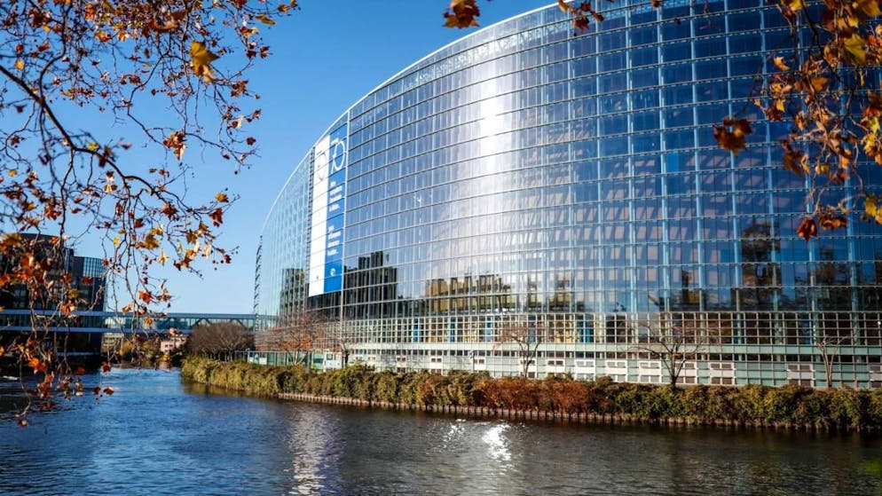 Un rassemblement est prévu le 20 janvier devant le Parlement européen à Strasbourg, à l'initiative du FNSEA, le premier syndicat agricole français (archives).