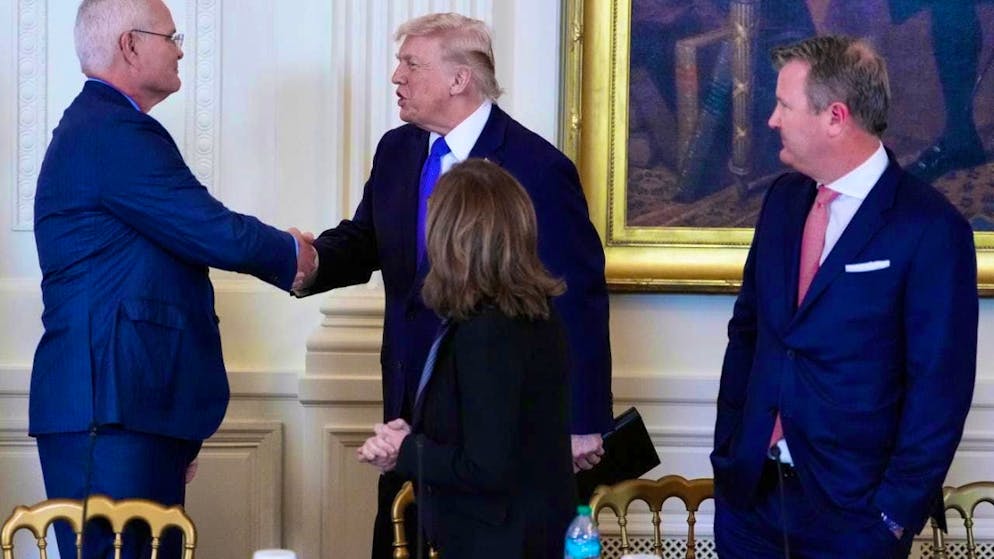 US President Donald Trump (M) speaks with ExxonMobil CEO Darren Woods (l) as Marathon Petroleum CEO Maryann Mannen (2nd from right) and Tallgrass Energy CEO Matt Sheehy (r) look on during a meeting with oil industry executives in the East Room of the White House. Photo: Alex Brandon/AP/dpa