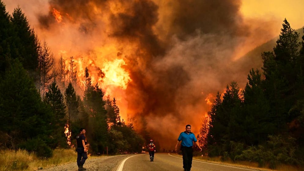 Diverse migliaia di ettari sono già andate in cenere.