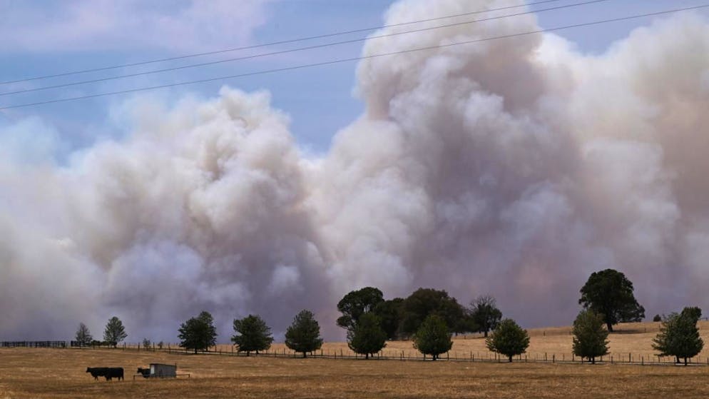 L'un des feux de brousse les plus destructeurs a parcouru près de 150'000 hectares près de Longwood.