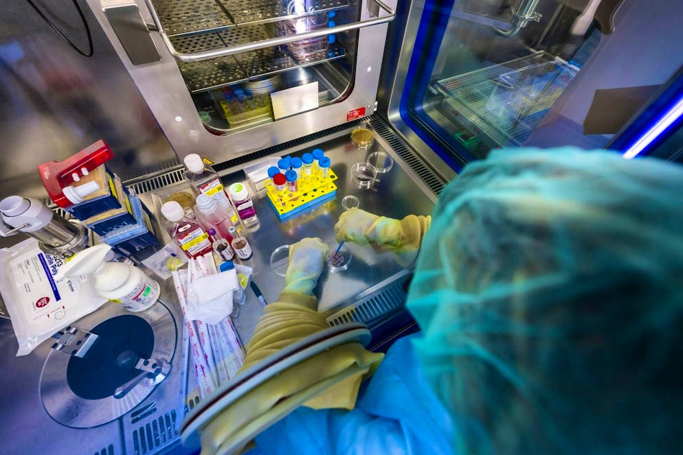 Lausanne laboratory grows skin for Crans-Montana fire victims. A biomedical analyst dissects a piece of skin in order to reproduce it and...