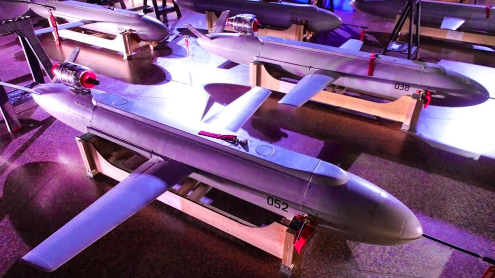 ARCHIVE - A new type of long-range Peklo missile drone (archive photo). Photo: ---/ukrin/dpa