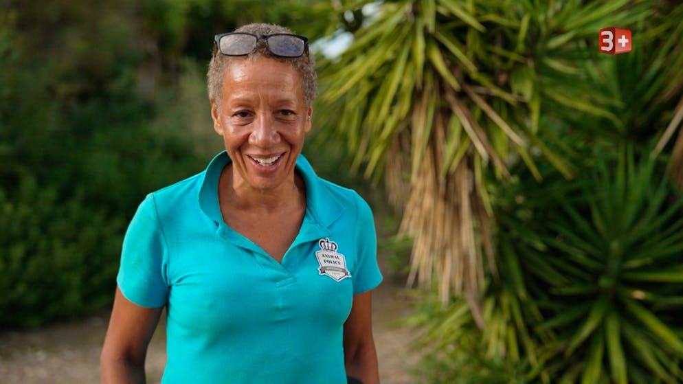 «Adieu Heimat» 2026: Die erste Folge. Auf Mallorca kämpft derweil Farah weiterhin für die Rettung und den Schutz von Tieren. Ihr neues Vorhaben: Sie hat sich eine neue Finca gekauft und möchte dort 270 Tiere unterbringen. Das Anwesen muss noch tiergerechter werden, dafür braucht sie Geld. 