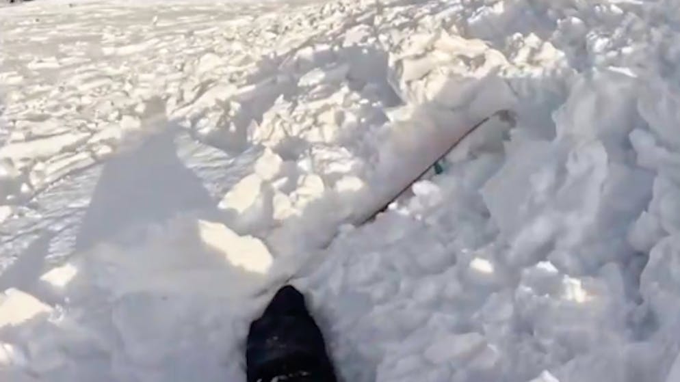 Video zeigt Schock-Moment. Skifahrerin wird mit ihrem Hund von Lawine mitgerissen