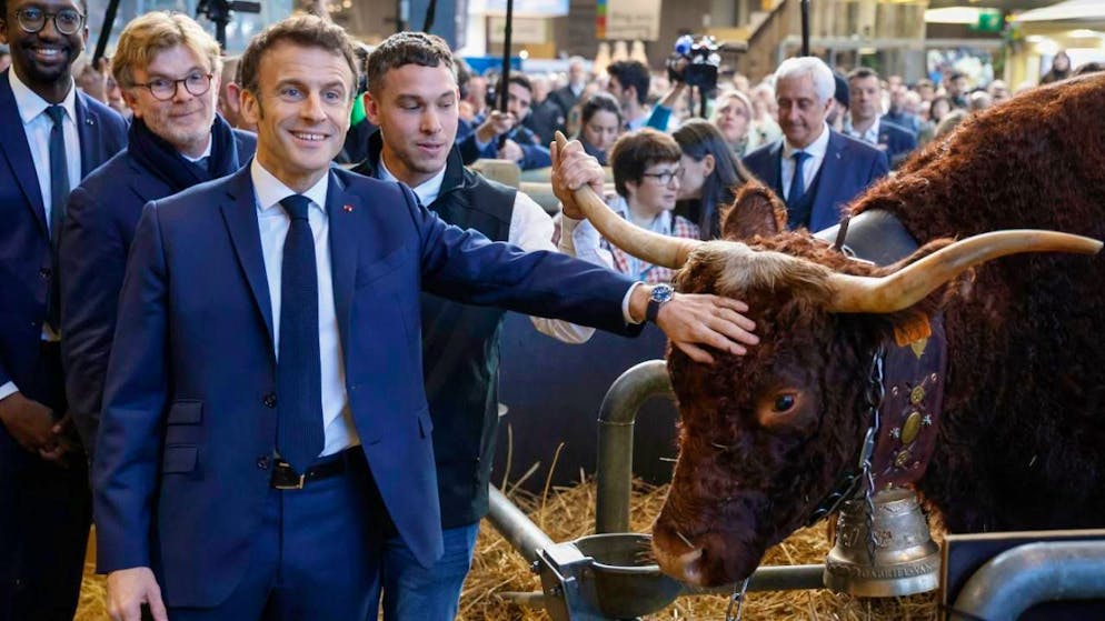 Le Salon de l'agriculture est un rendez-vous incontournable pour les hommes politiques français (archives).