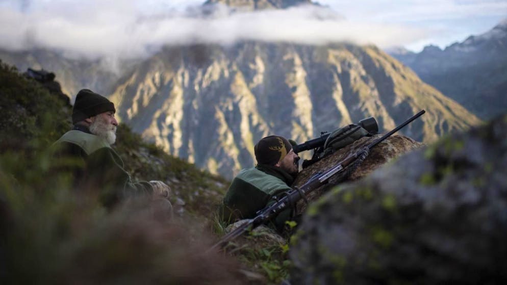 Stagione venatoria. Caccia 2025, il Canton Grigioni traccia un bilancio positivo